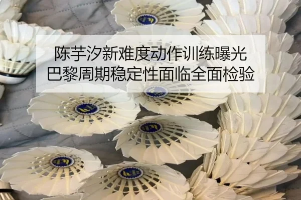 陈芋汐新难度动作训练曝光 巴黎周期稳定性面临全面检验